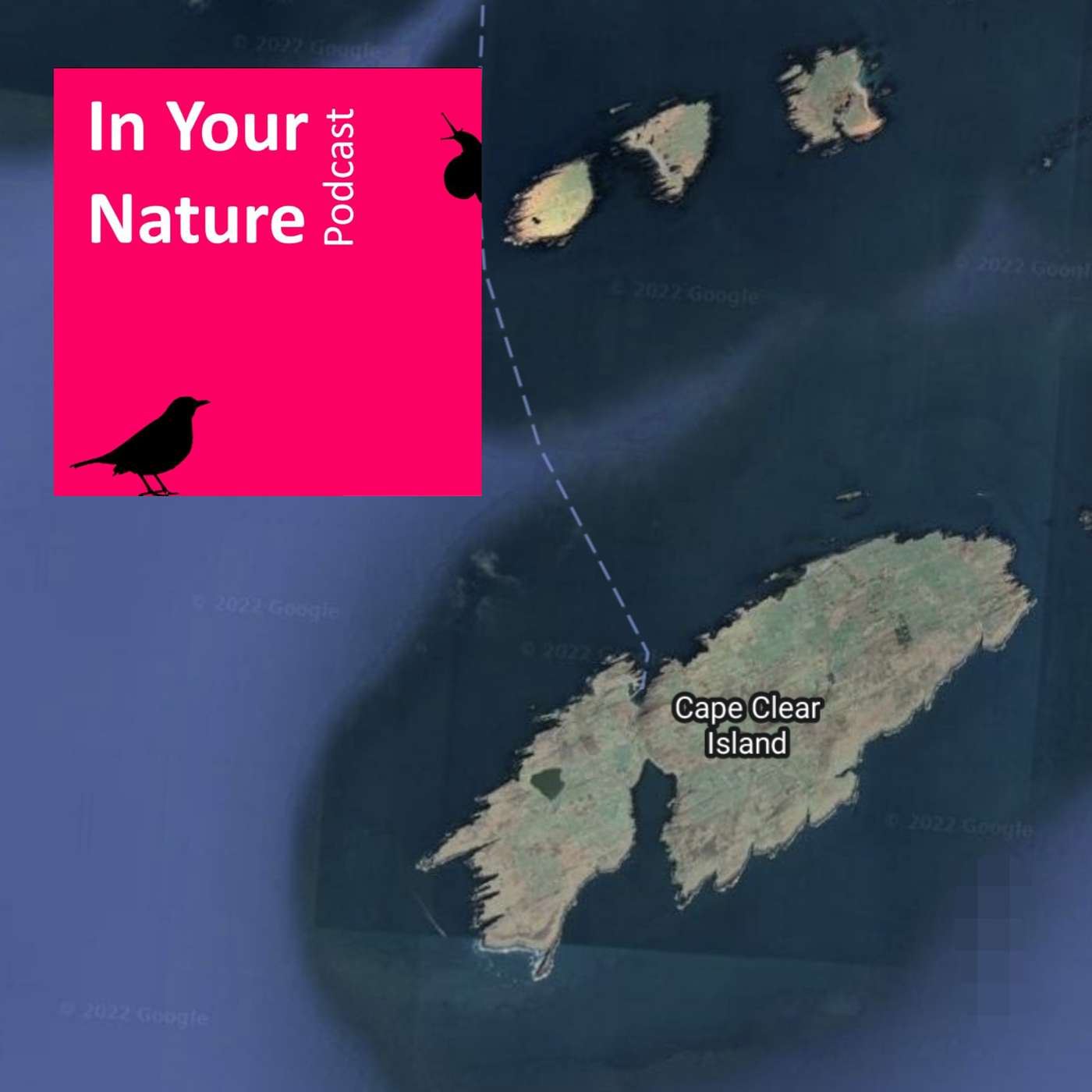 In Your Nature Ep 24 - Life at Cape Clear Bird Observatory