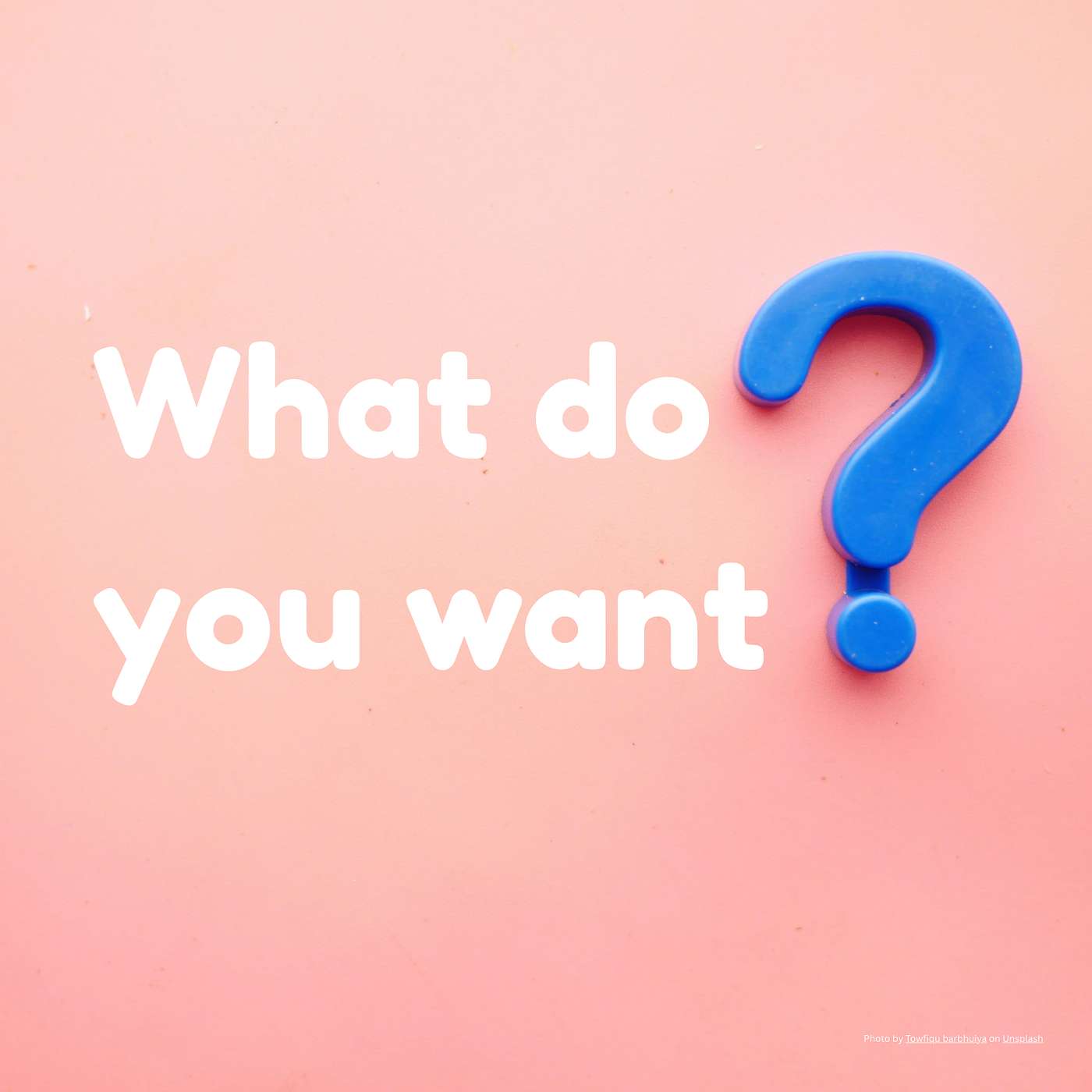 What do you want? What do you want?