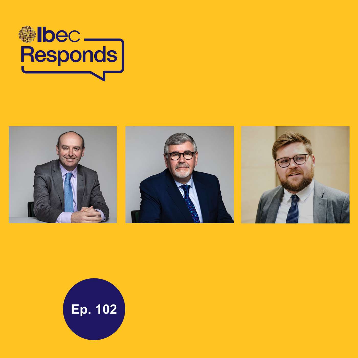 Navigating the EU Presidency Navigating the EU Presidency