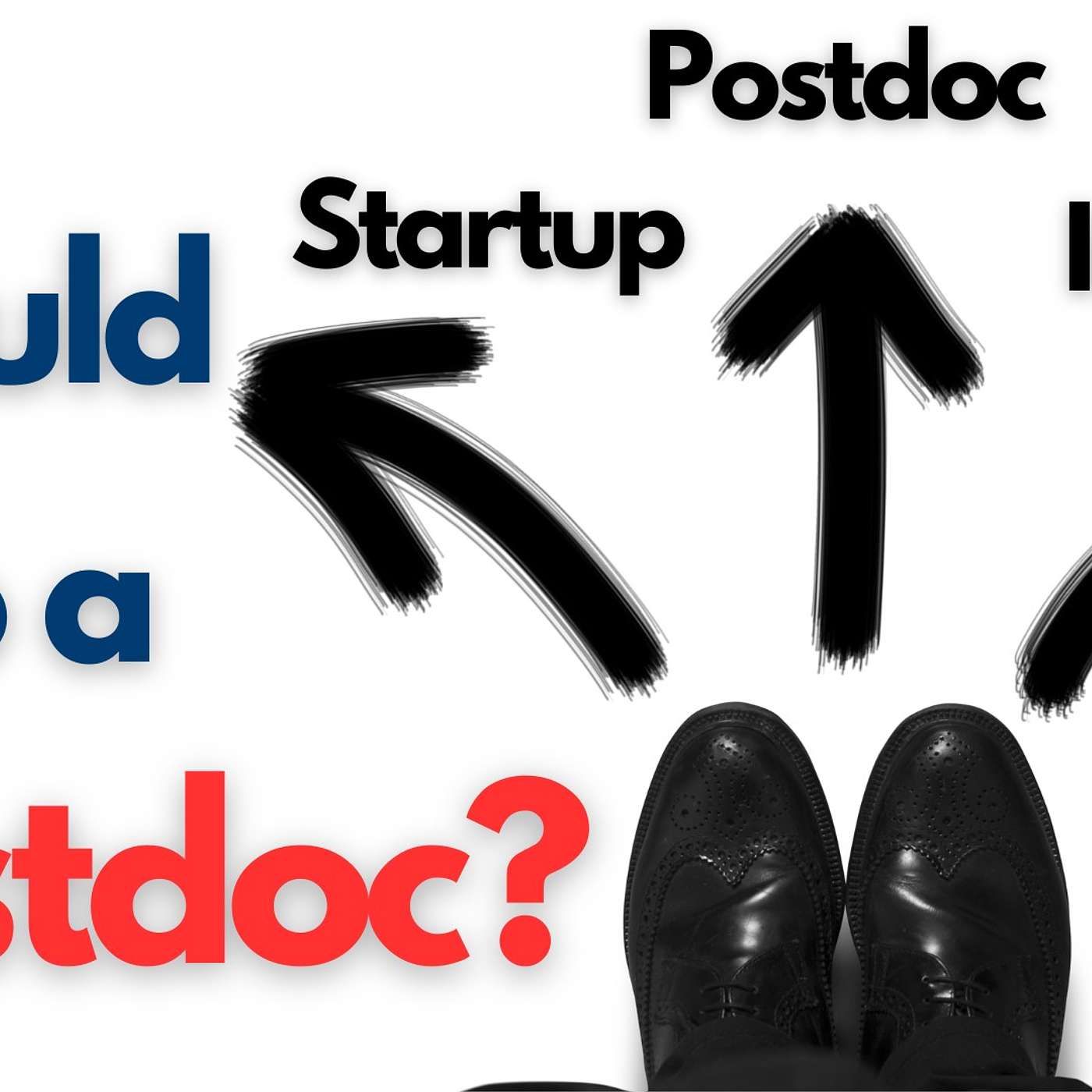Should I Do a Postdoc? episode artwork