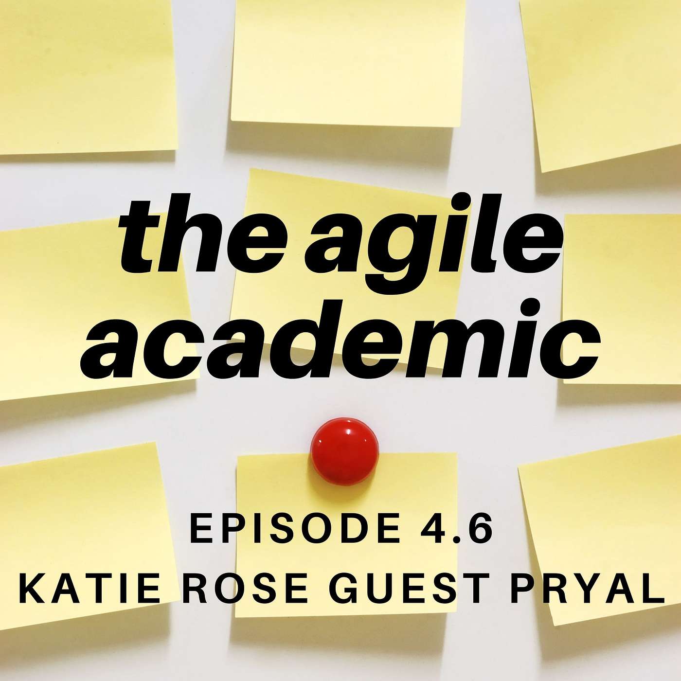 the agile academic