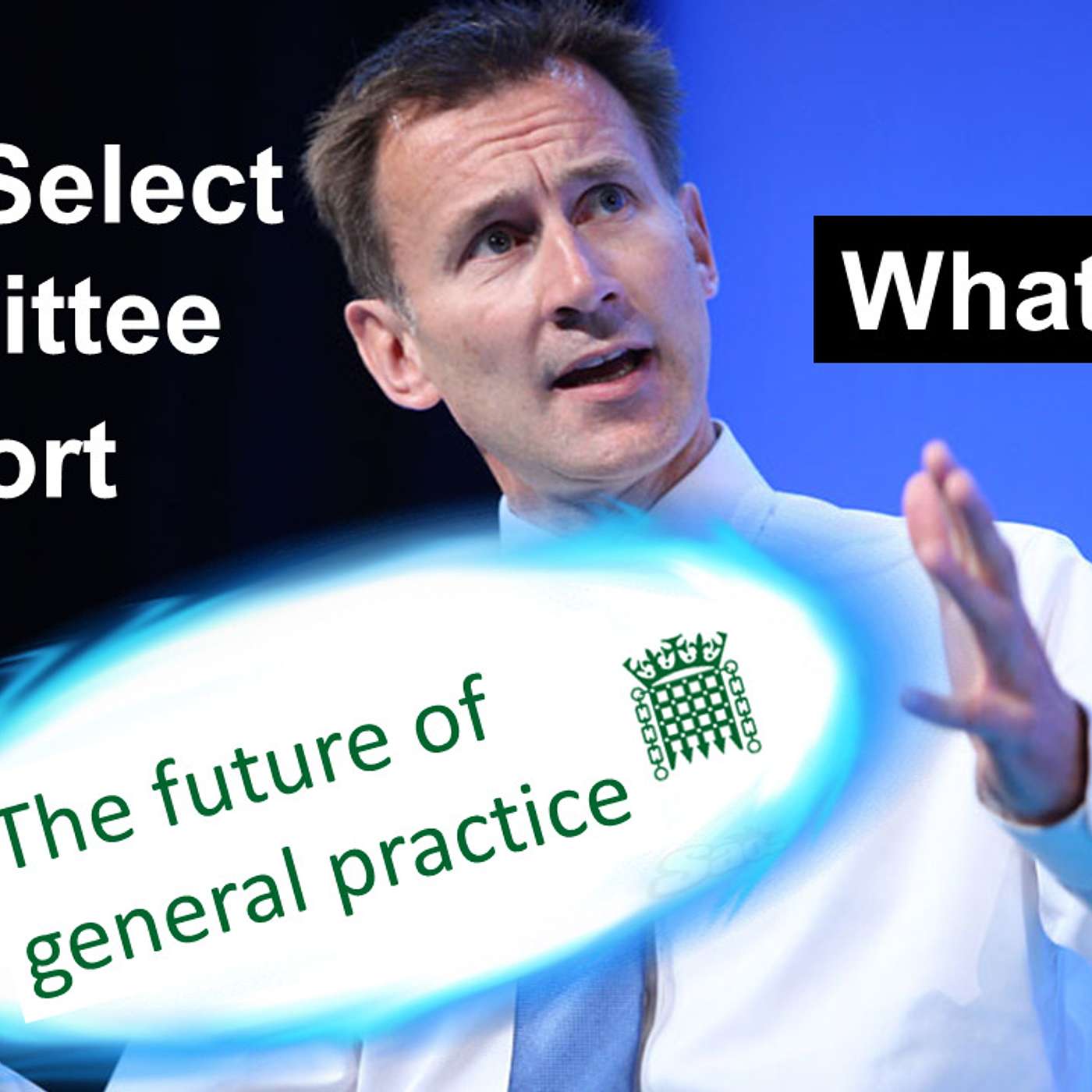Parliamentary Health Select Committee Report on the Future of General Practice