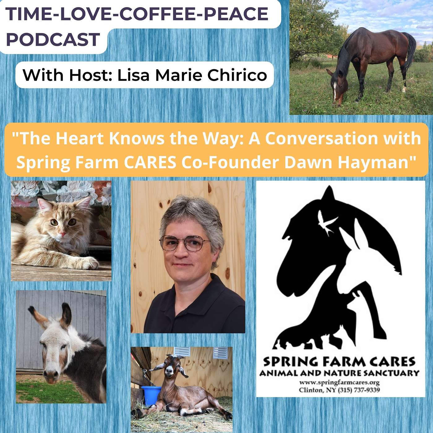 The Heart Knows the Way: A Conversation with Spring Farm CARES Co-Founder Dawn Hayman