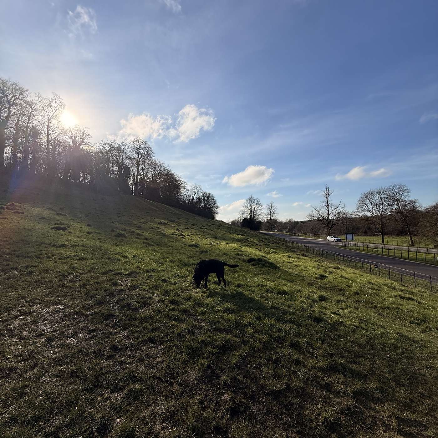 Barnaby Rudge Chapter XXXViii; Spring comes to Sherborne; The Dream of the Rood 🌳