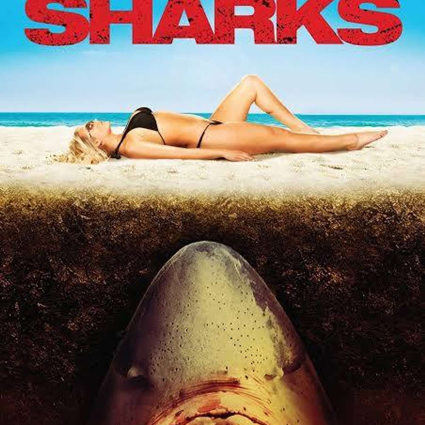 Sand Sharks!