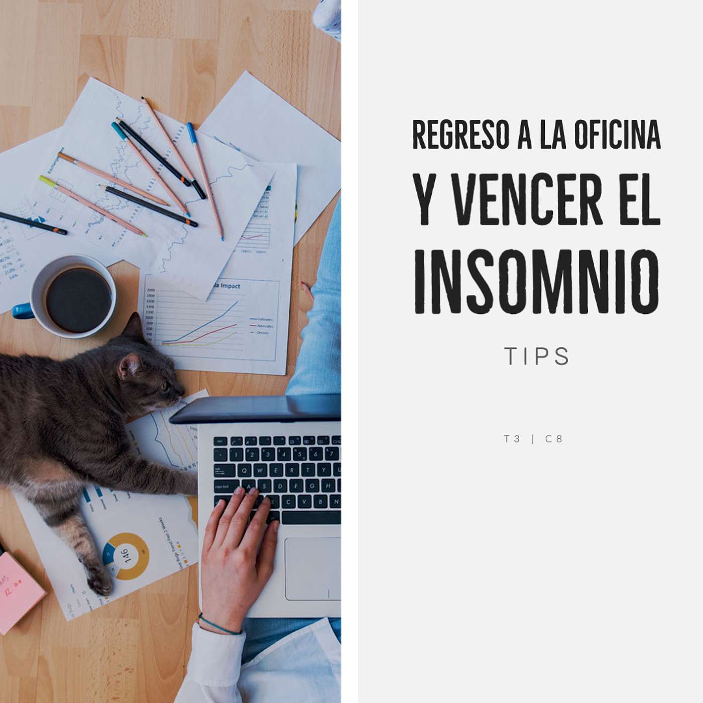 Regreso a la oficina y vencer el insomnio | Ambiente Mexicano