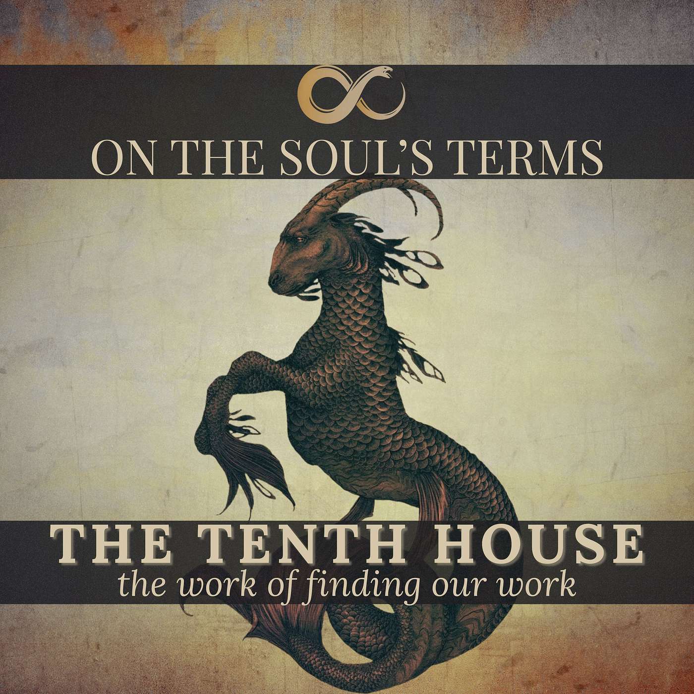 #115 | The Tenth House & Midheaven | The Work of Finding our Work