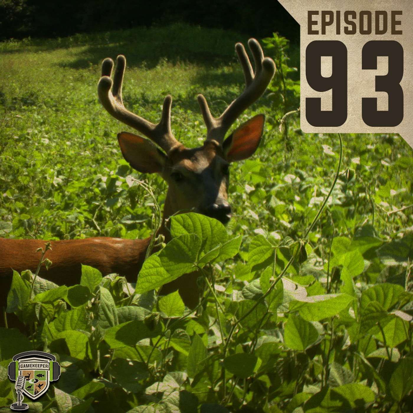 EP:93 | Warm Season Food Plots with Dr. Bronson Strickland