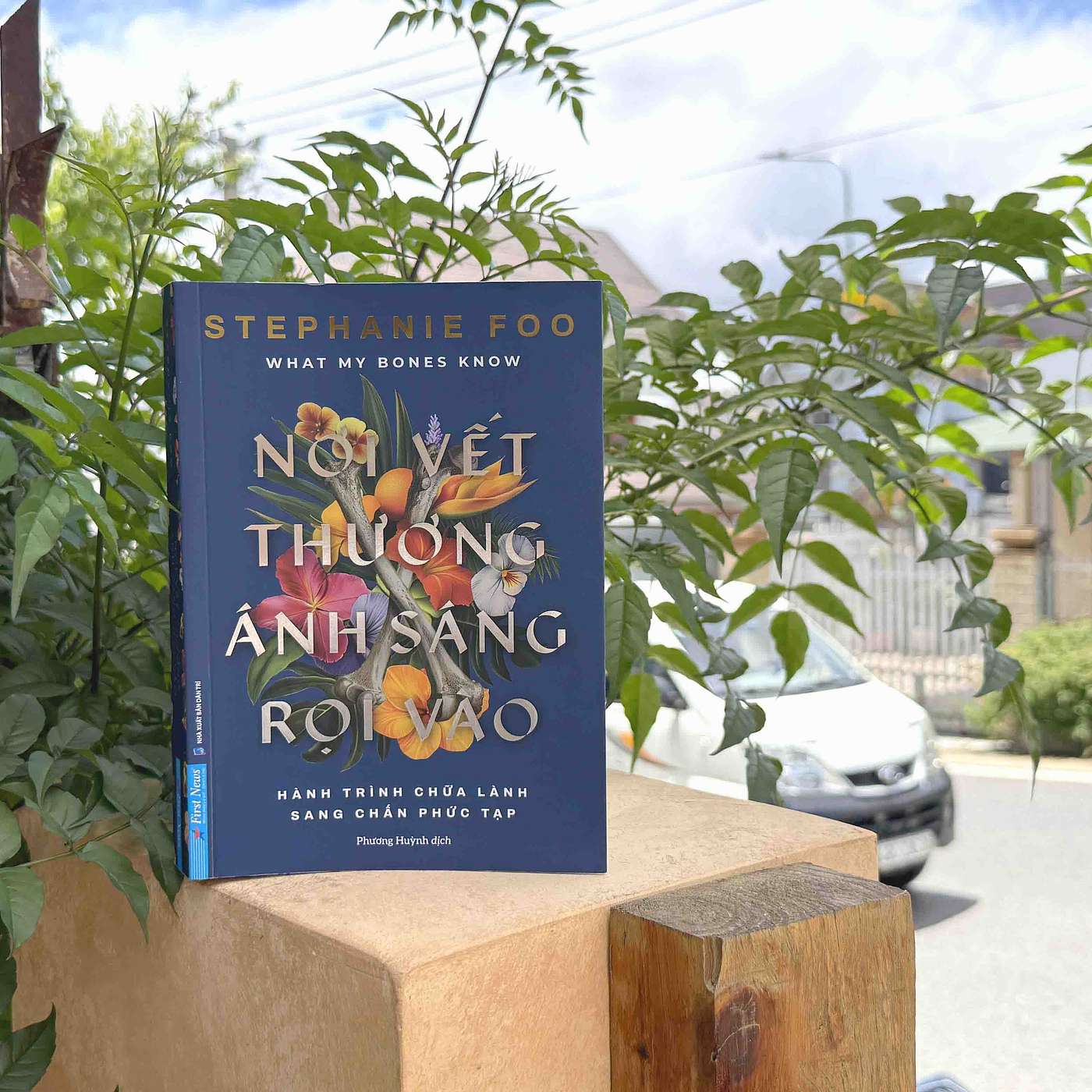 Nơi vết thương ánh sáng rọi vào