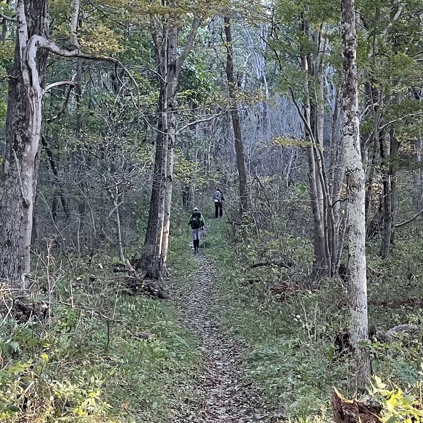 Trail Etiquette