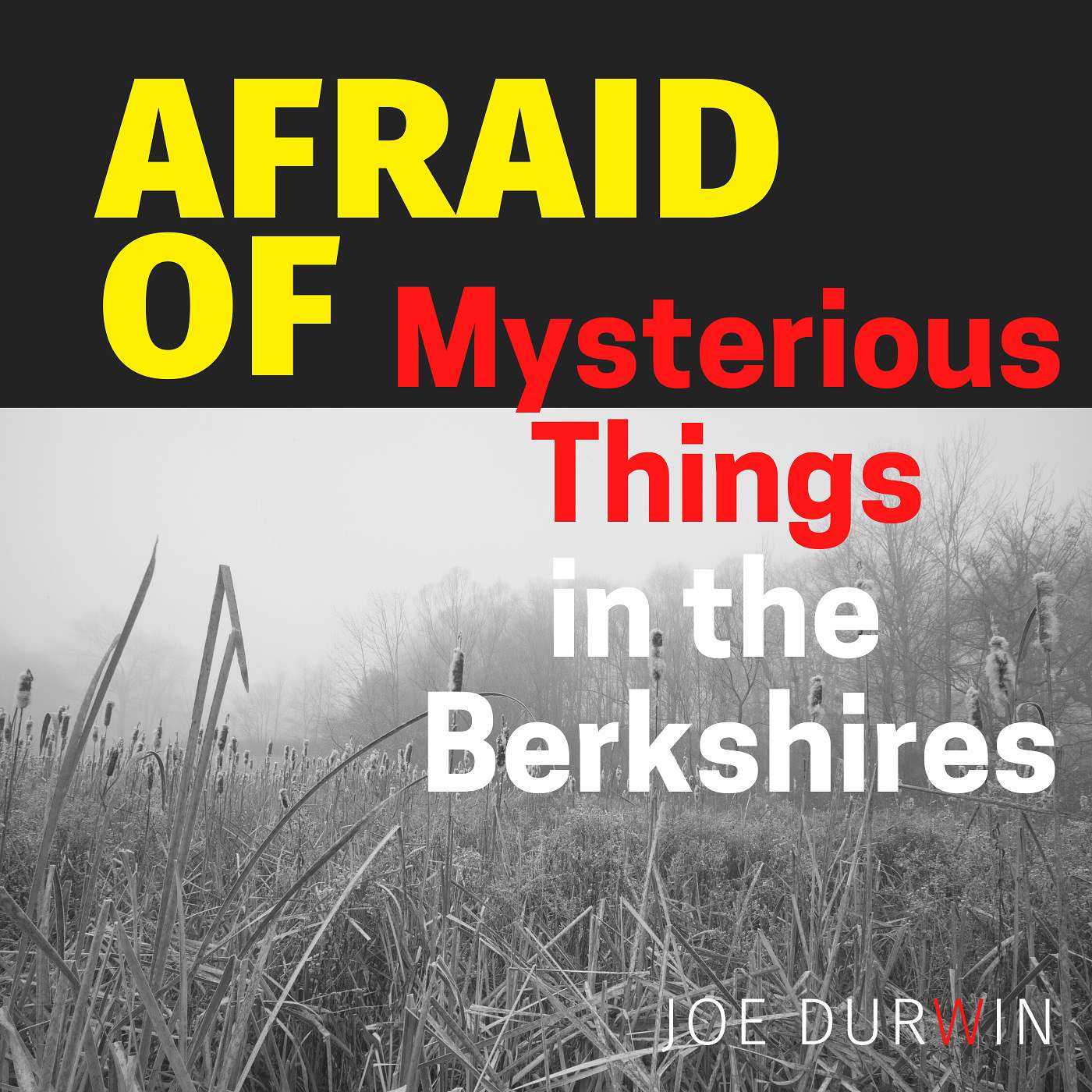 Afraid of Nothing Podcast