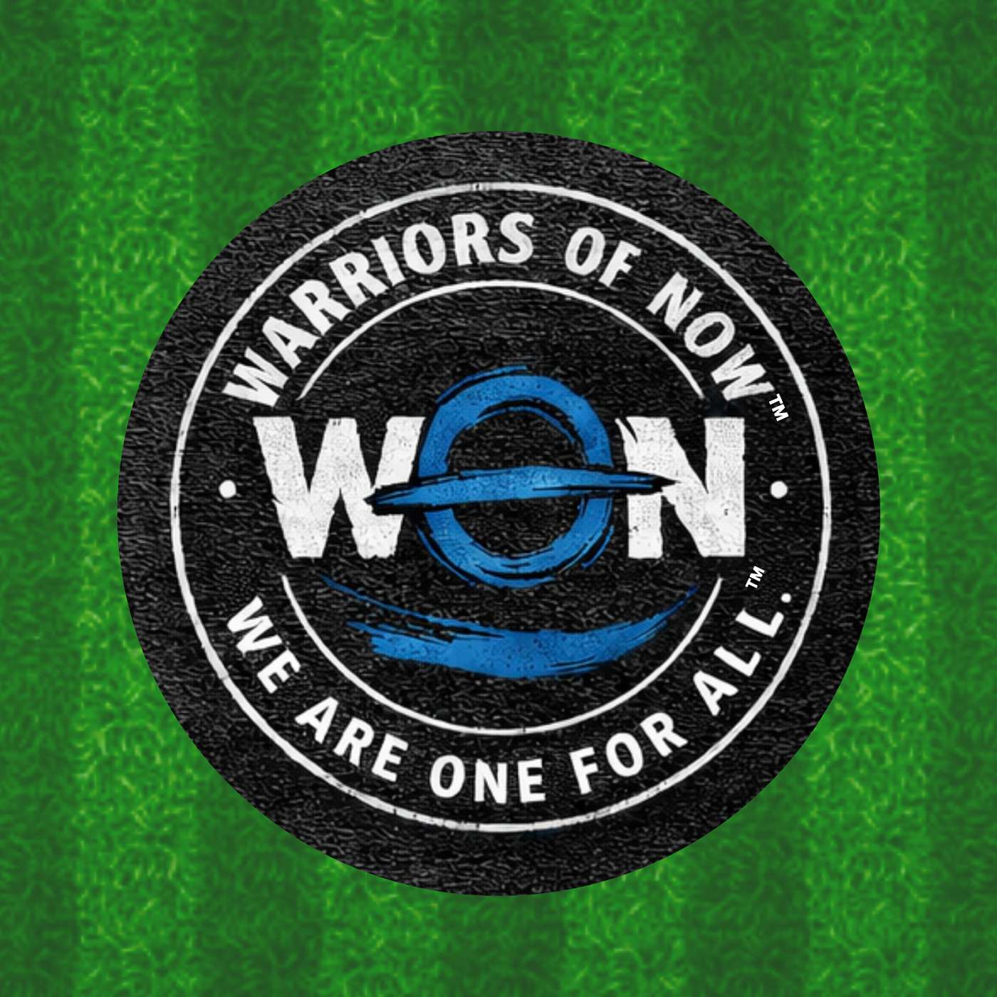 #01 WON™ Season 1 Premiere | Identity After Sports episode artwork