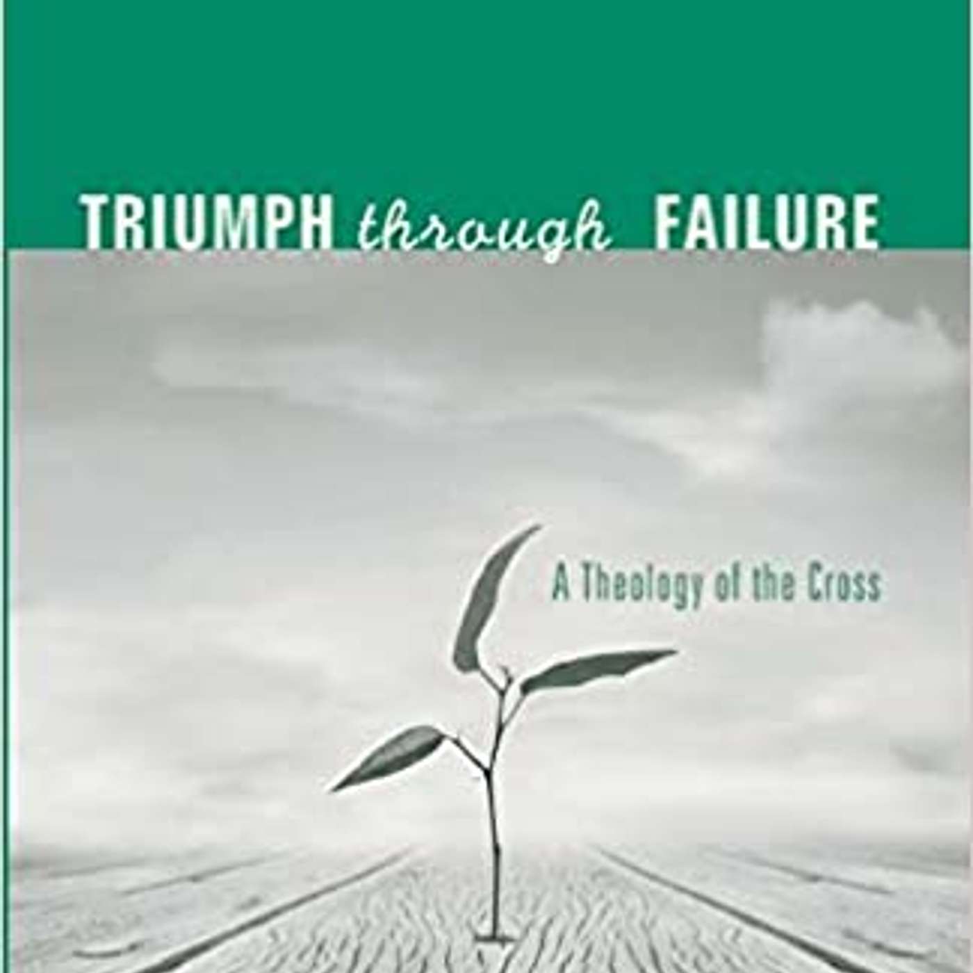 Nov 2 The Theology of Failure according to John Navone
