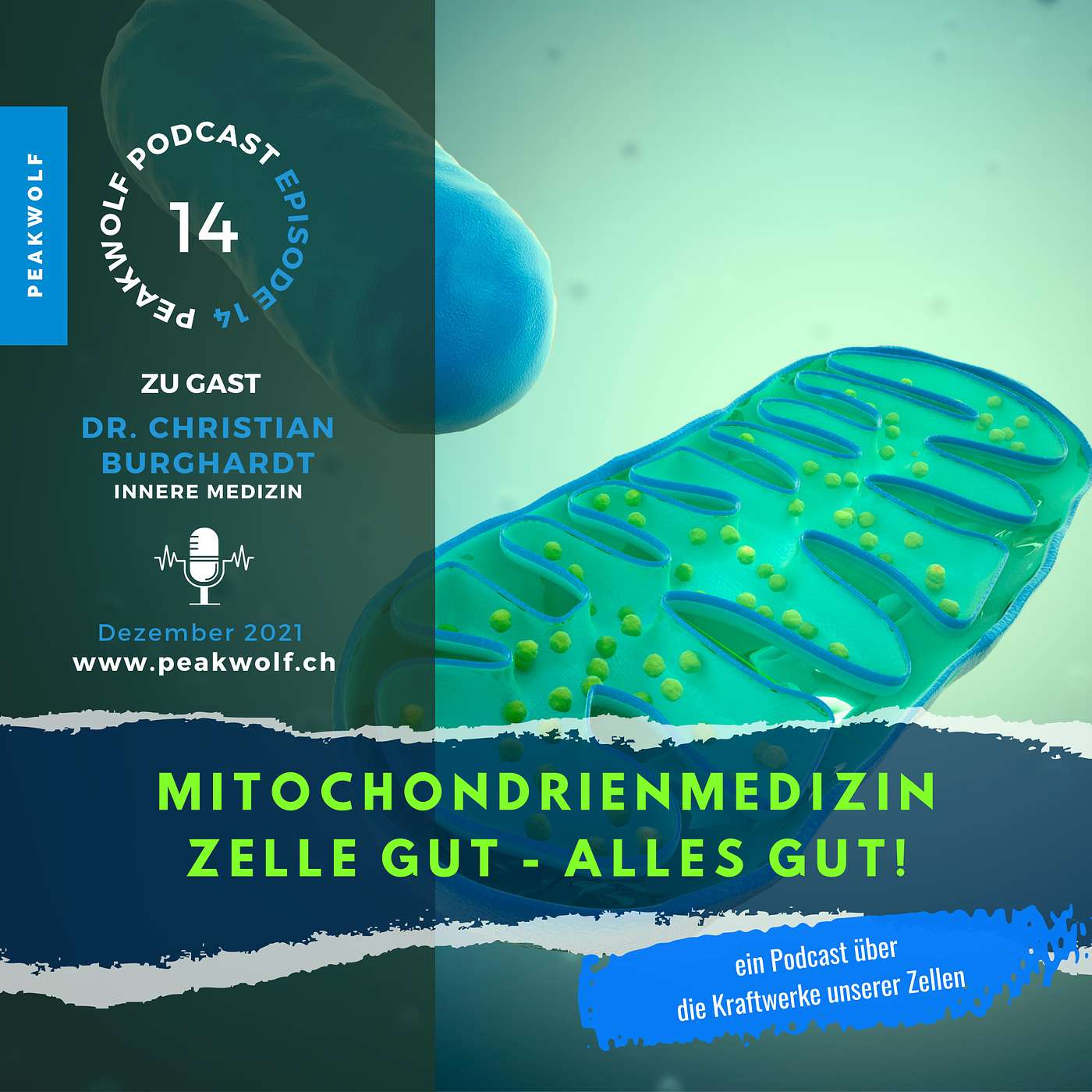 Mitochondrienmedizin = Zelle gut - alles gut!