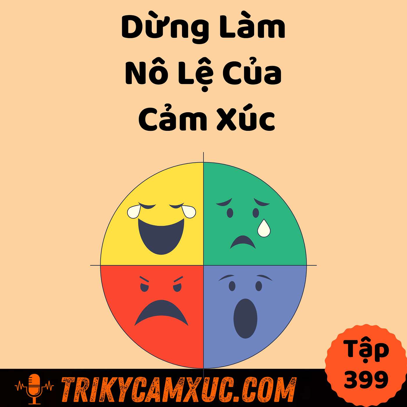 Dừng Làm Nô Lệ Của Cảm Xúc - Tri Kỷ Cảm Xúc #399