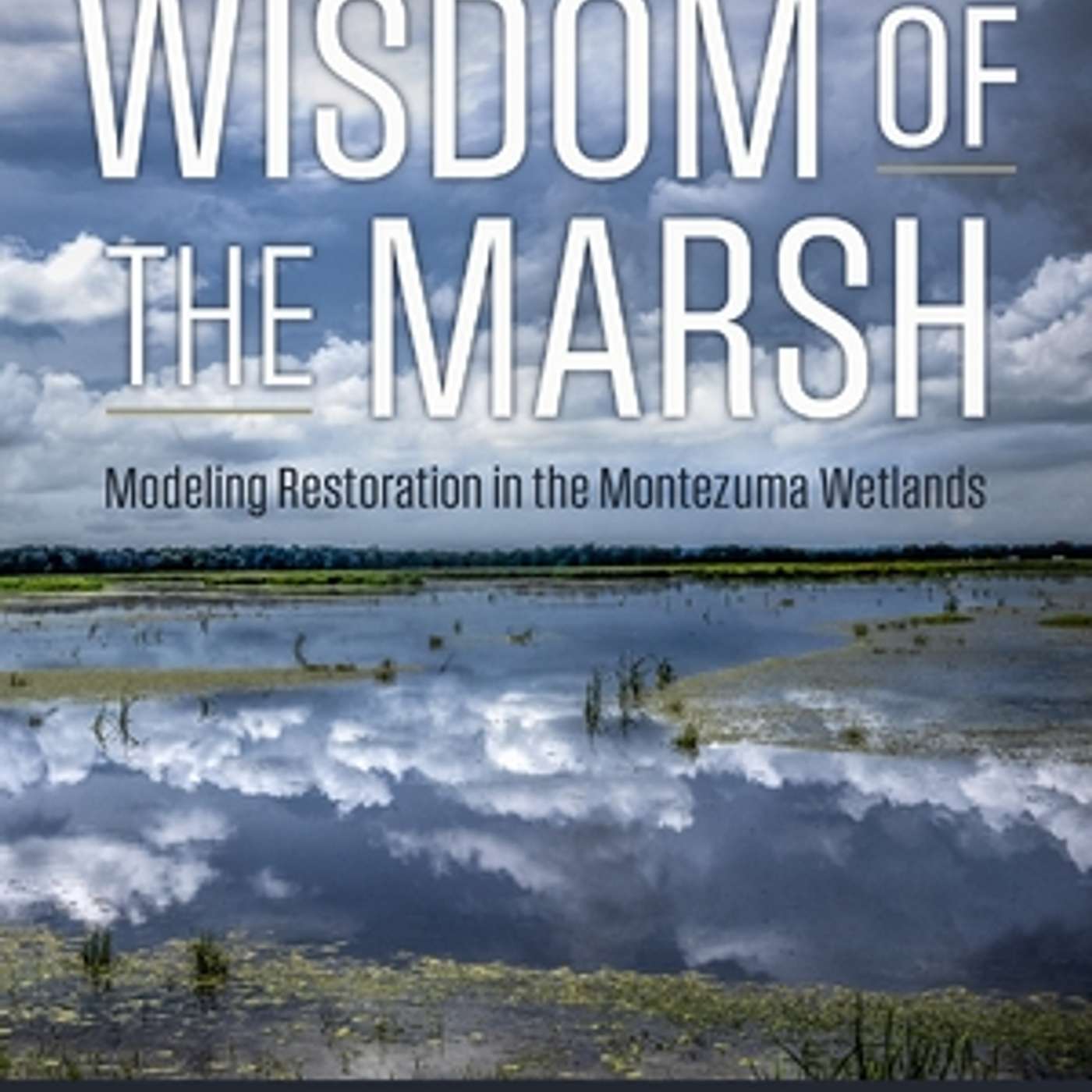 "Wisdom of the Marsh" by Clare Howard (Photographs by David Zalaznik)