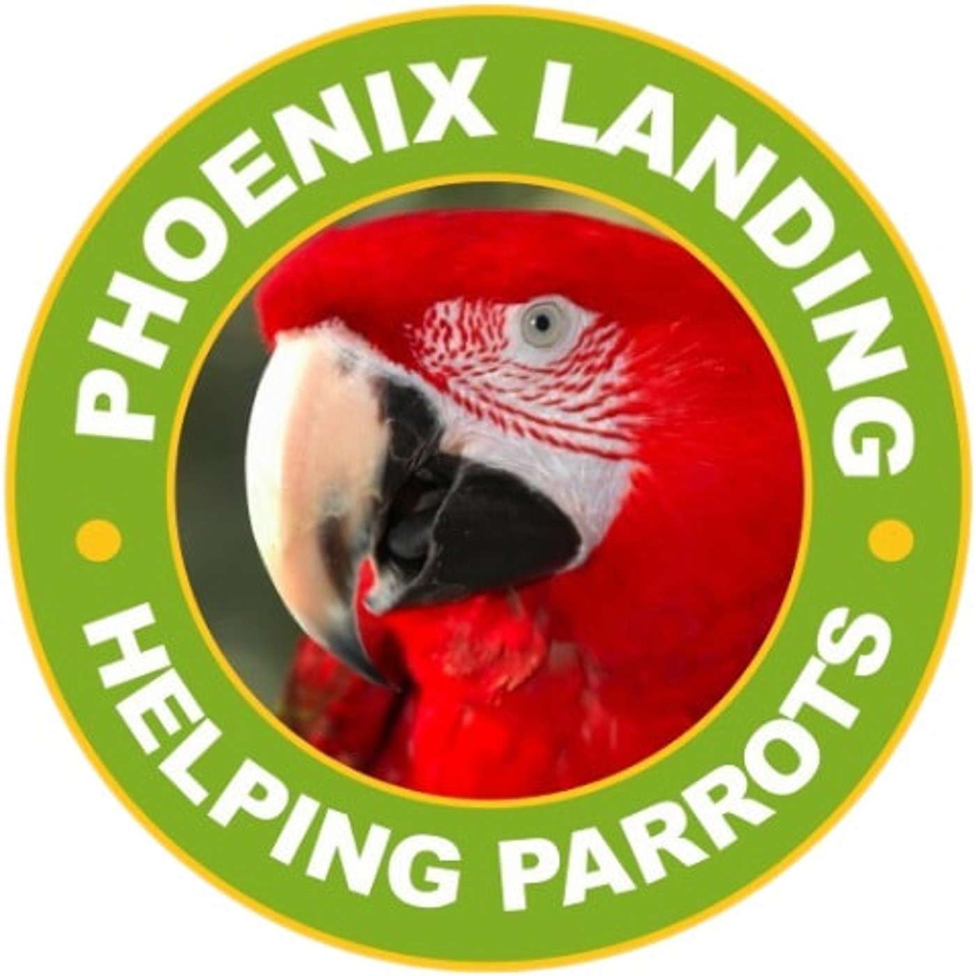 Ann Brooks - Phoenix Landing Foundation