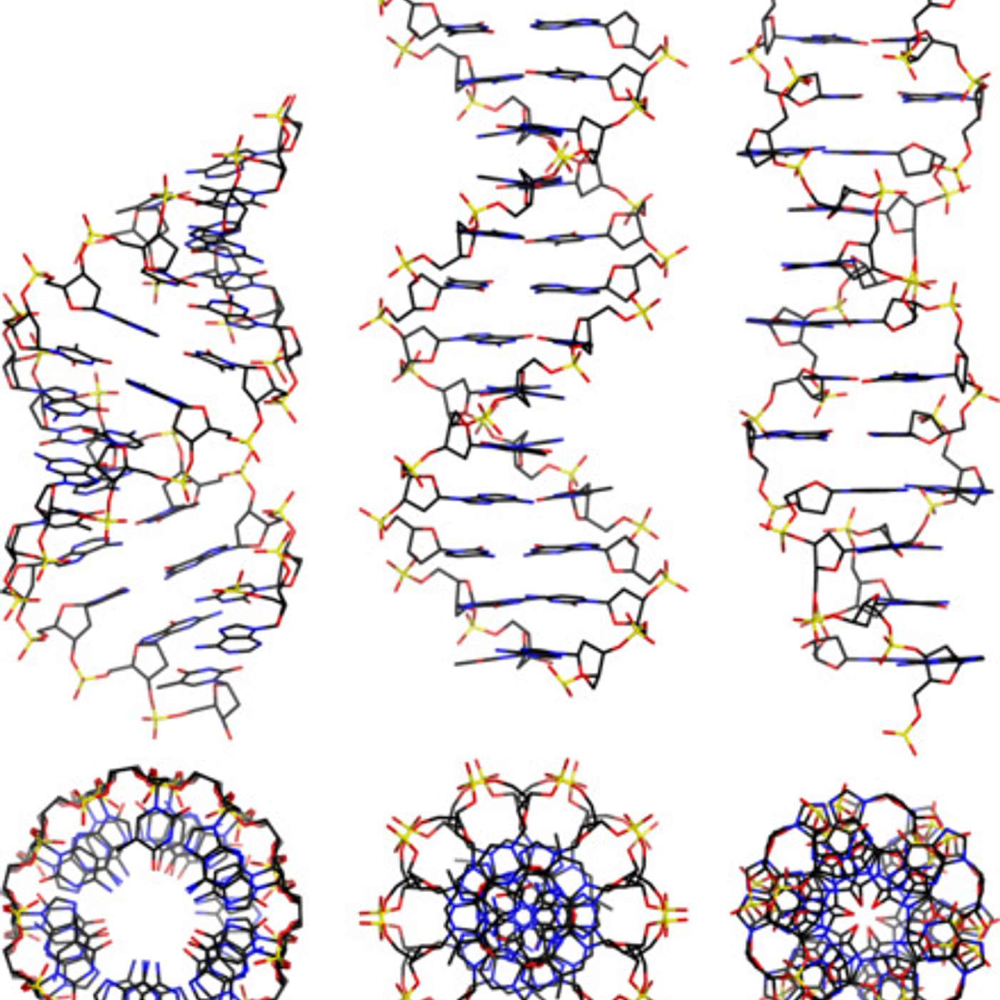 47. Genetic Diversity and the Extinction of the Human Microbiome, Part 1