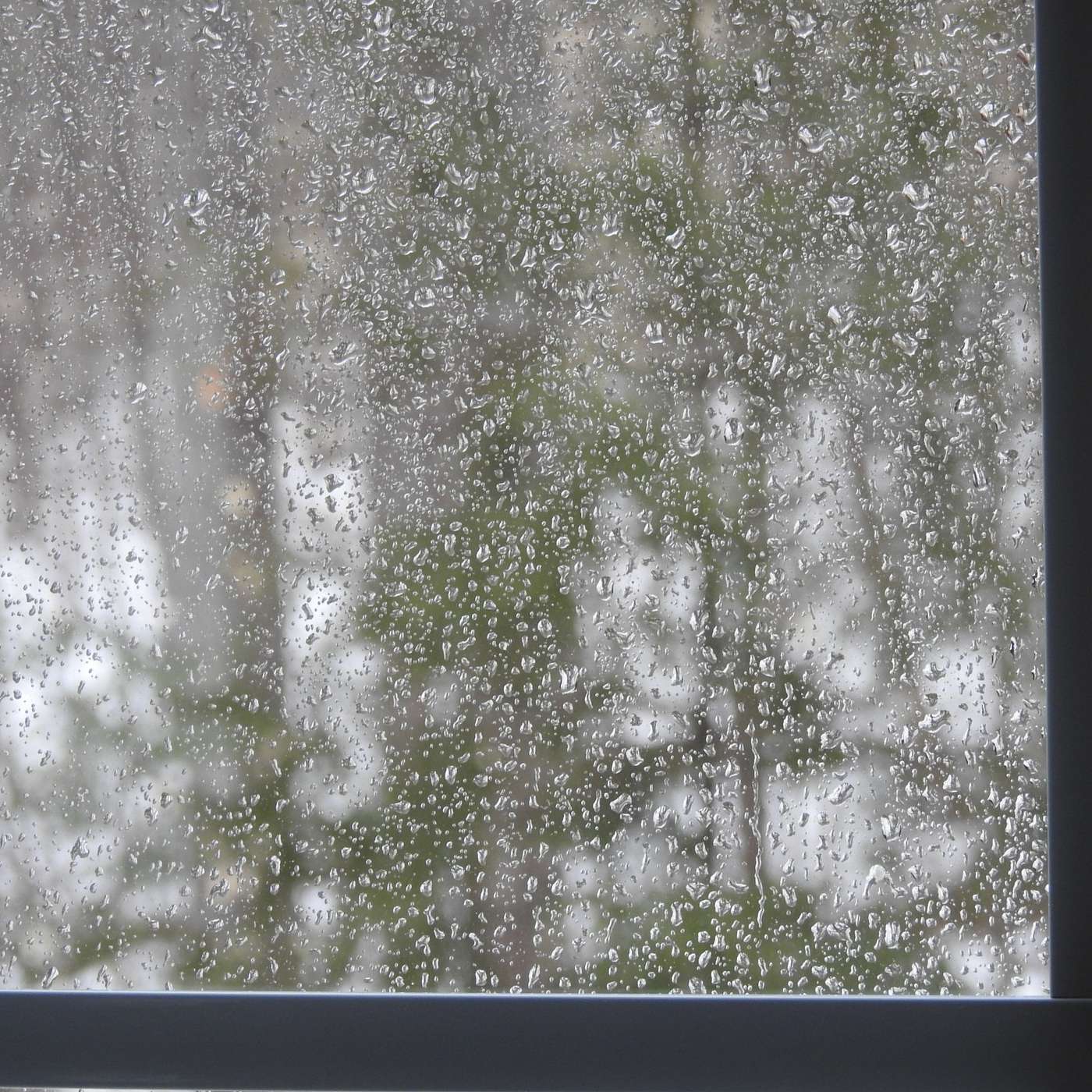 THOUGHTS ON A RAINY DAY