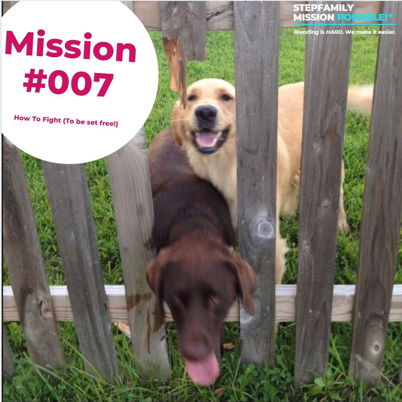 86 \\ Mission #007 How to Get In The Fight! Spiritual Warfare In Stepfamilies And Blended Family Prayers