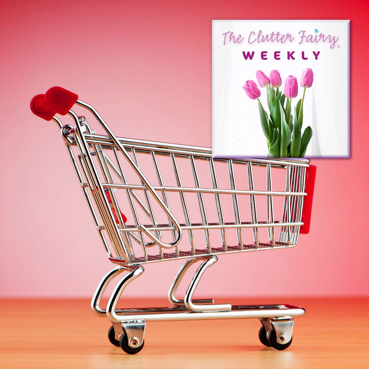 The Clutter Fairy Weekly #9 - Alternatives to buying stuff | Digital decluttering routines