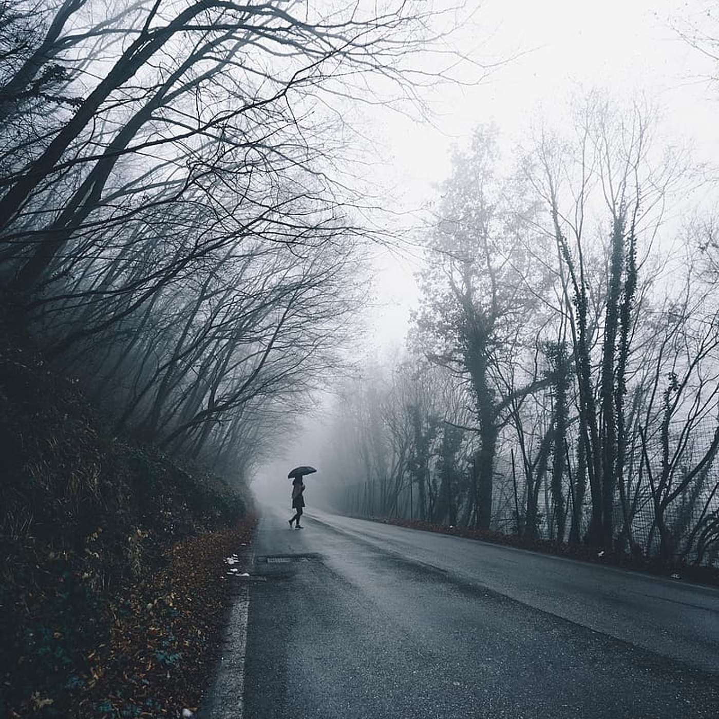 Nowhere to be Found