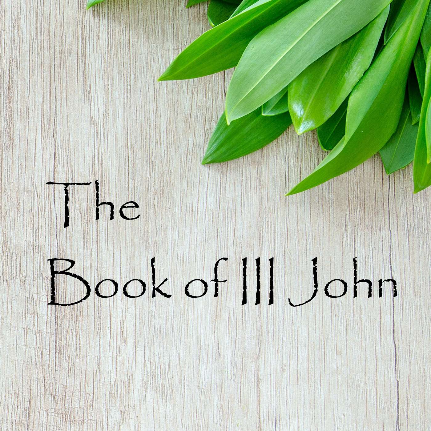 III John Expository Series - Part 1 episode artwork