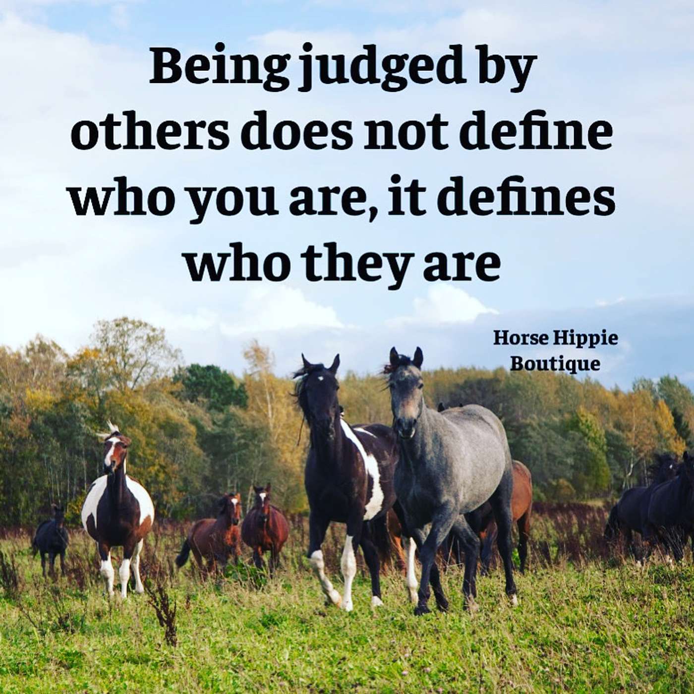 Being Judged episode artwork