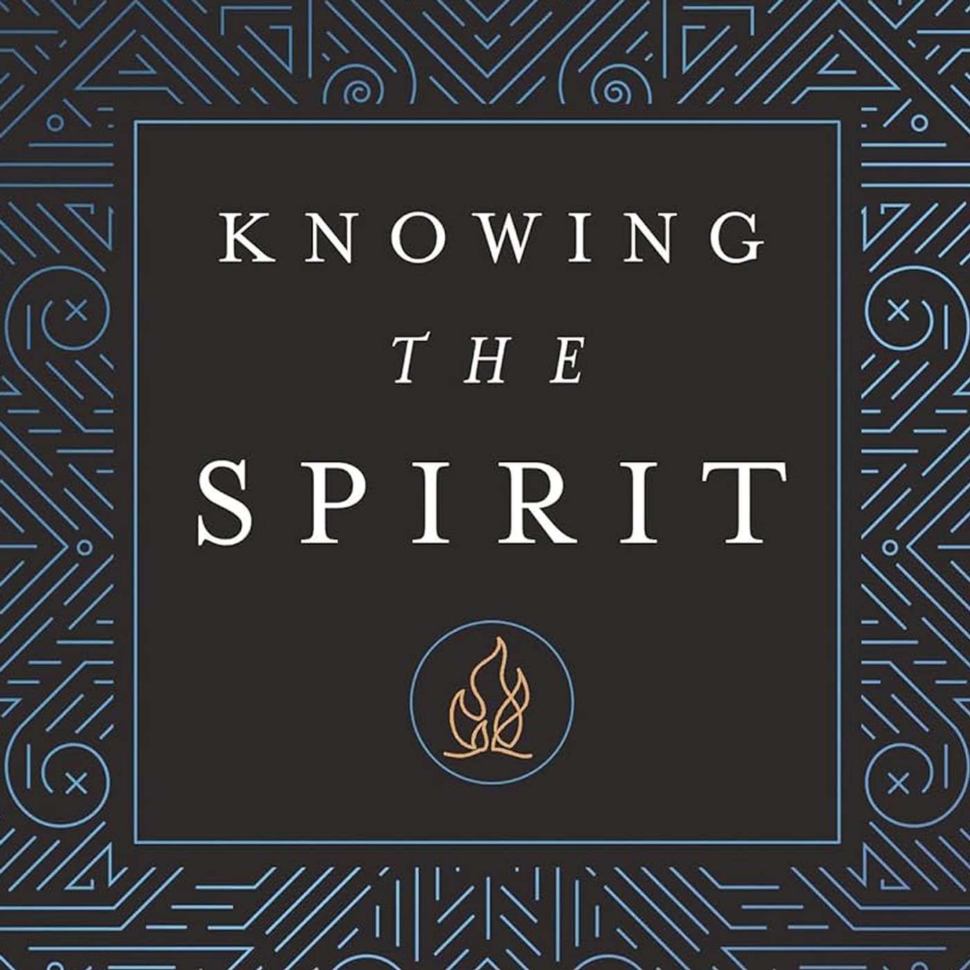 Reasonable Theology Podcast