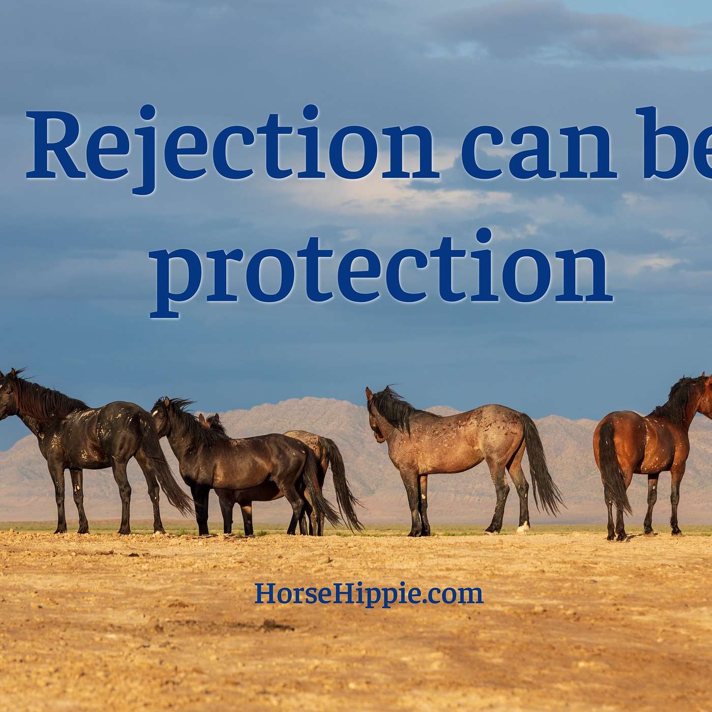 Is it Rejection or Redirection?
