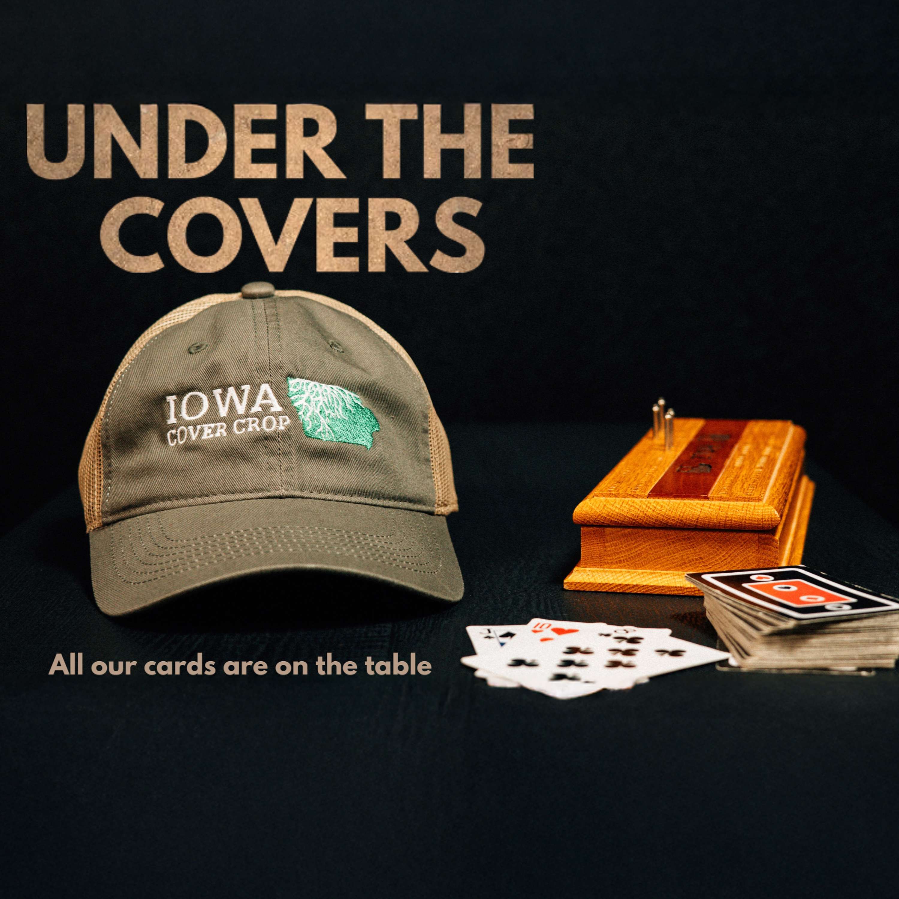 Under The Covers cover art