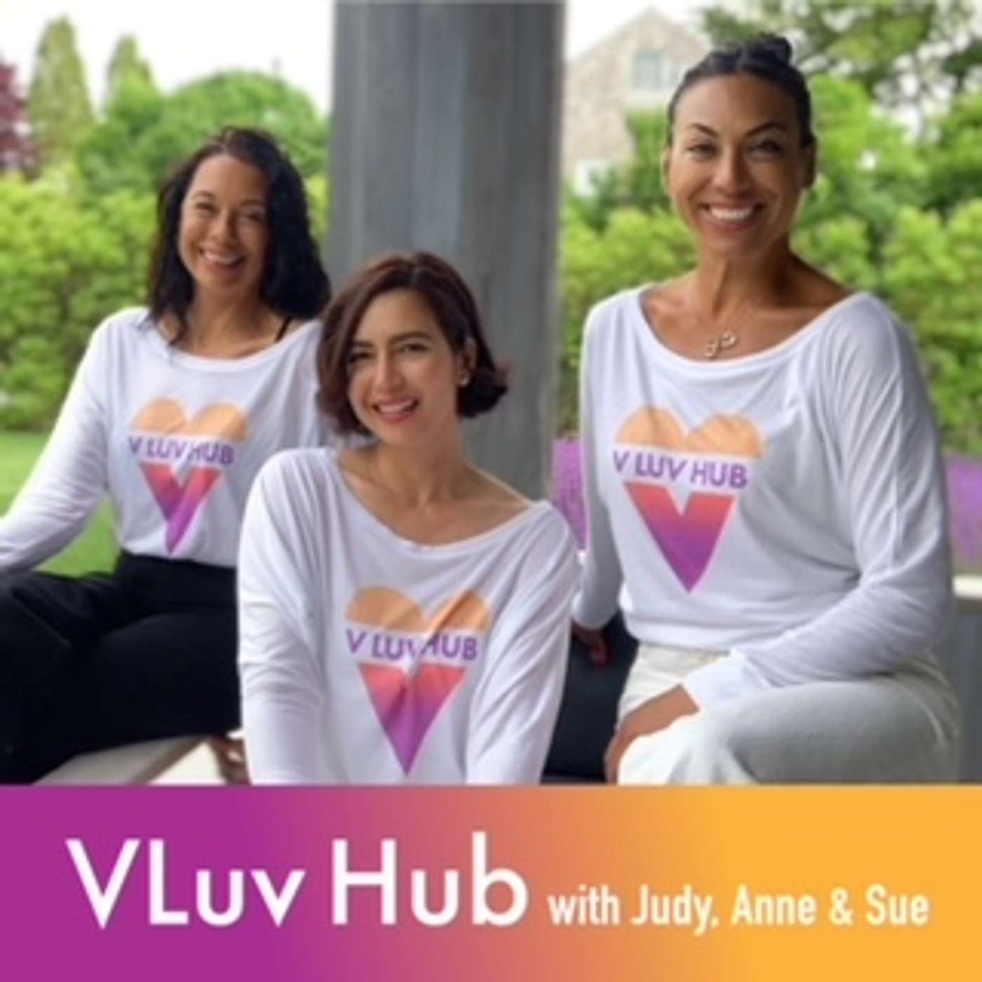 VLuv Hub