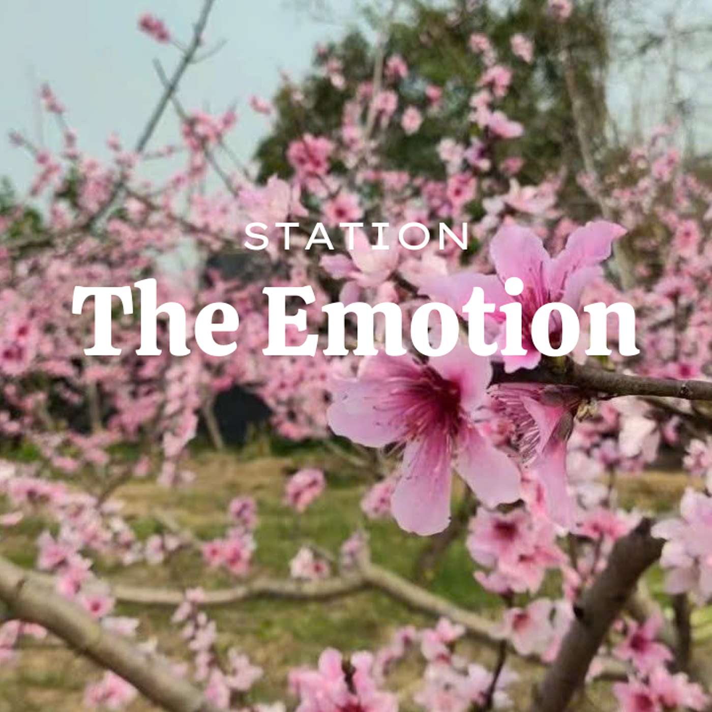 THE EMOTION STATION - 05 - Nỗ lực thầm lặng