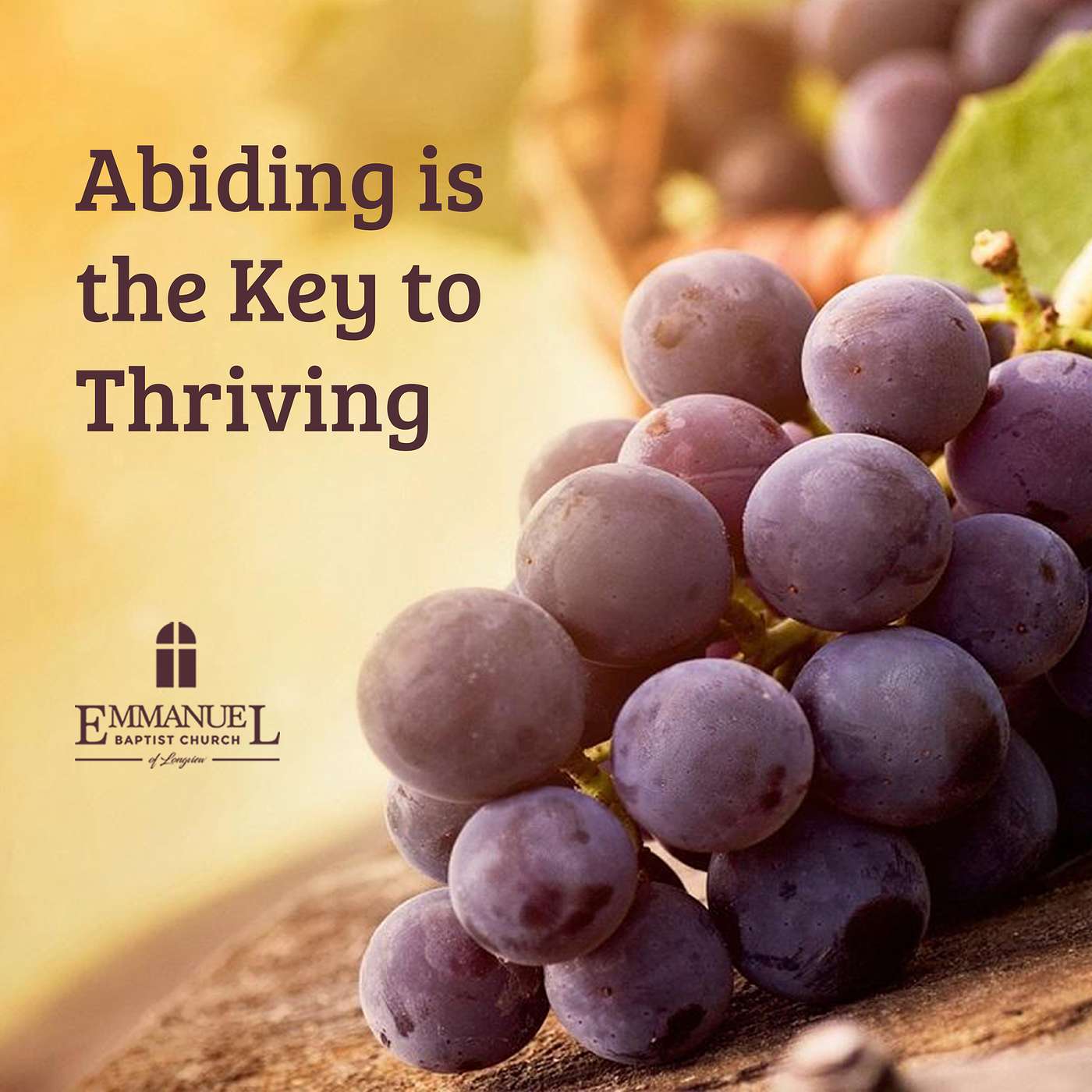 Abiding Is The Key To Thriving - Sun AM 10/11/20 - Pastor Bob Gray II episode artwork