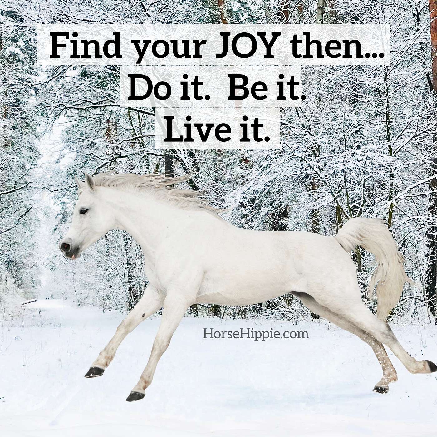 Finding Joy Everywhere