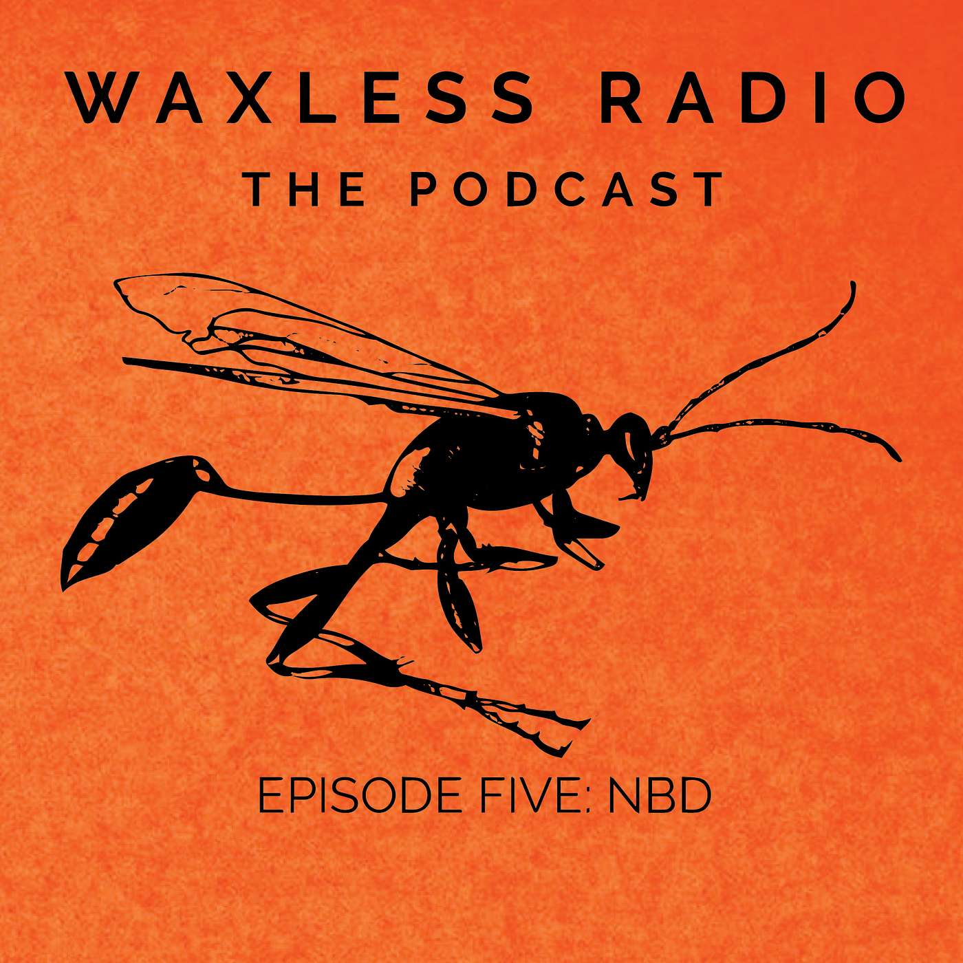 Waxless Radio: The Podcast