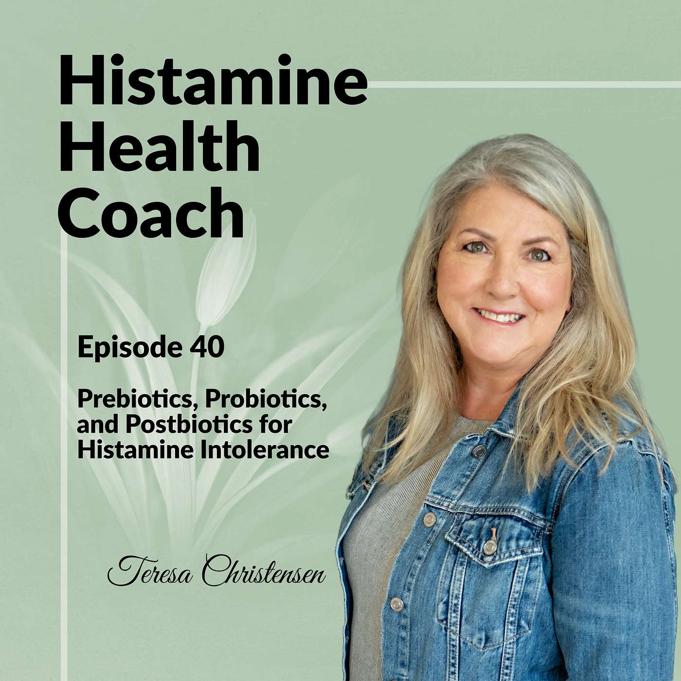 Episode 40 - Prebiotics, Probiotics, and Postbiotics for Histamine Intolerance episode artwork