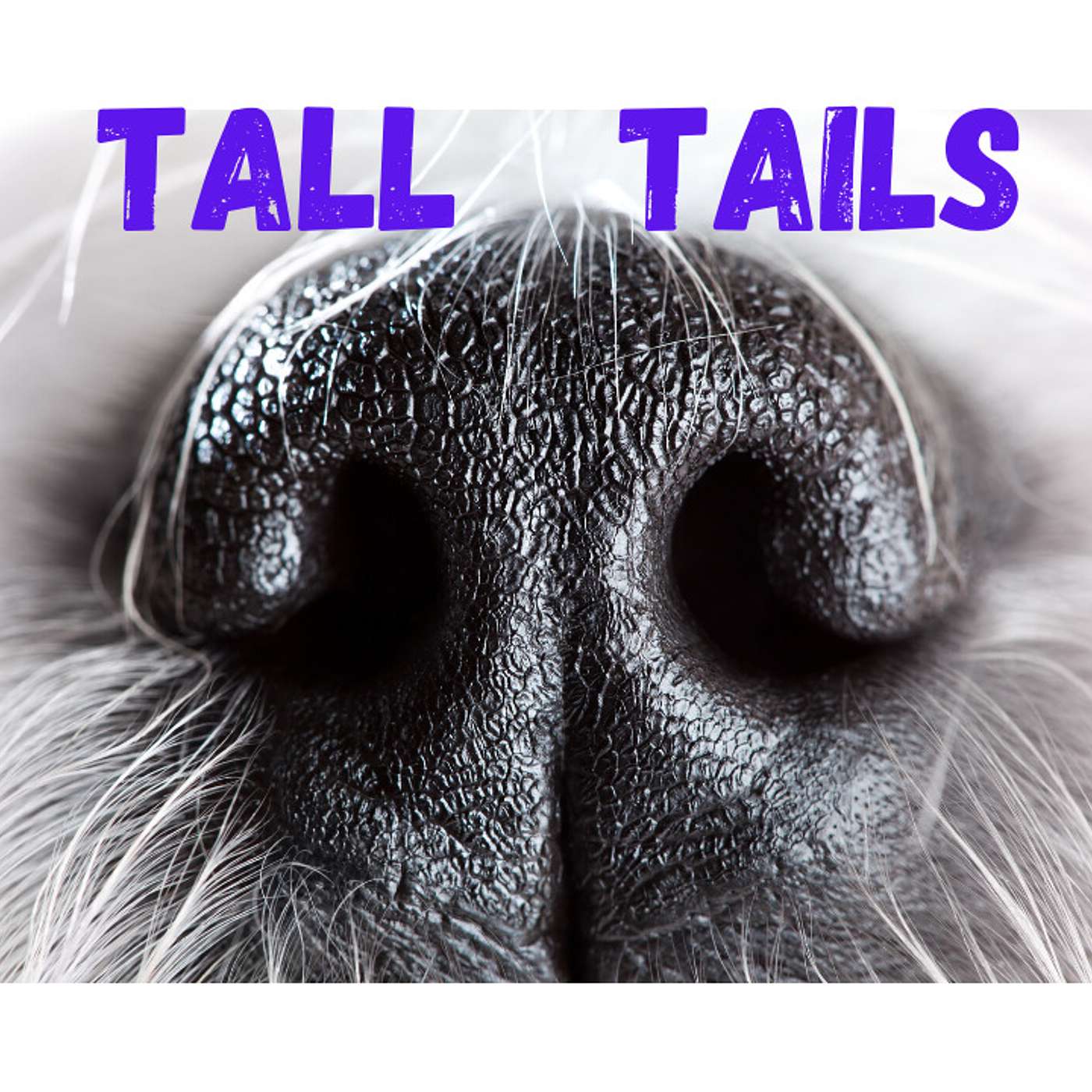 Tall Tails