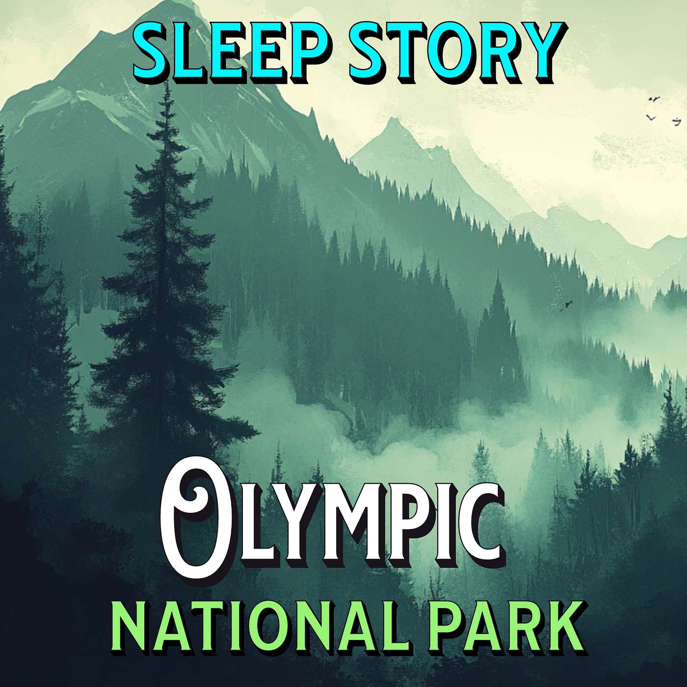 Olympic National Park Bedtime Story