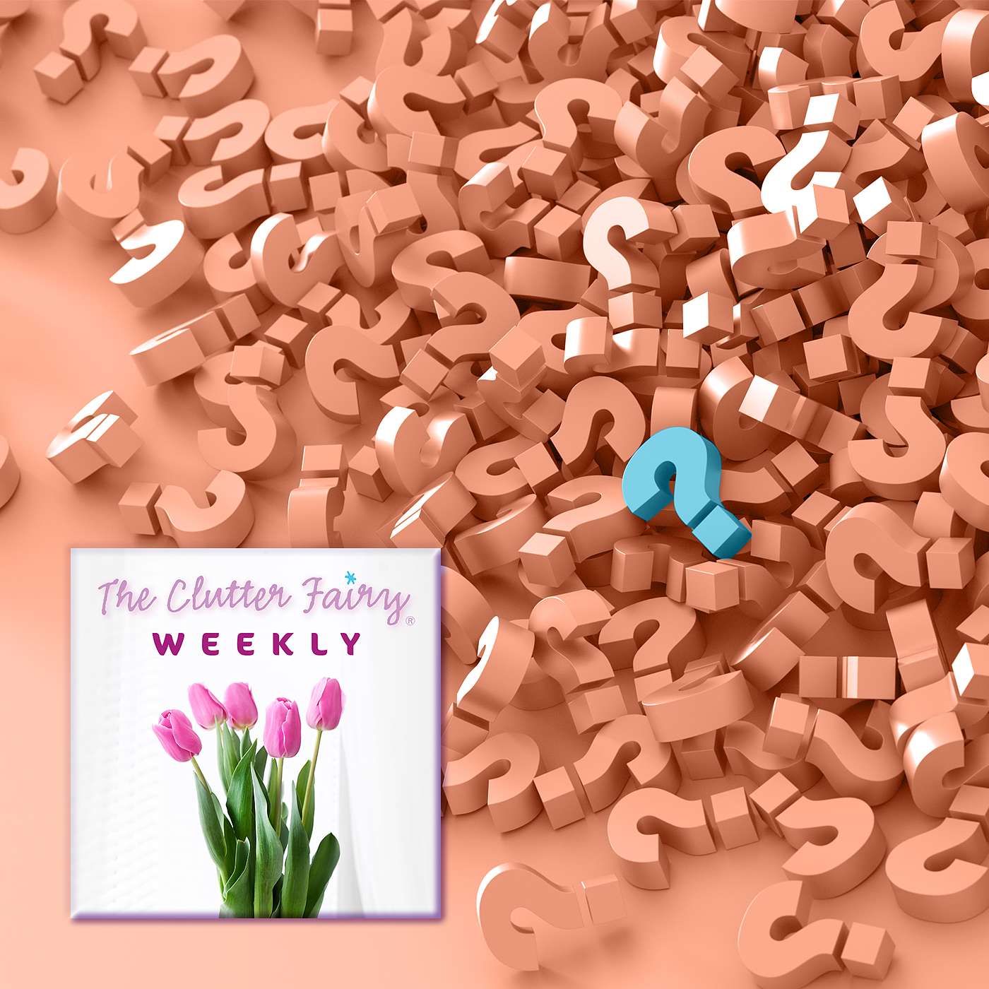 The Clutter Fairy Weekly