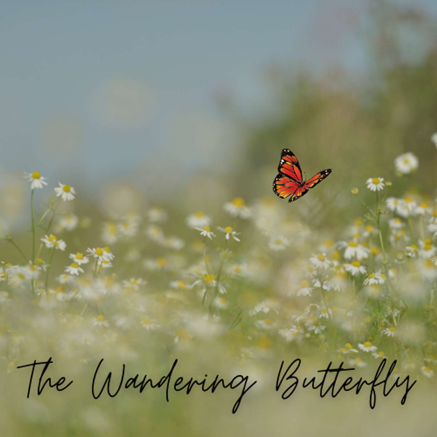 The Wandering Butterfly podcast artwork