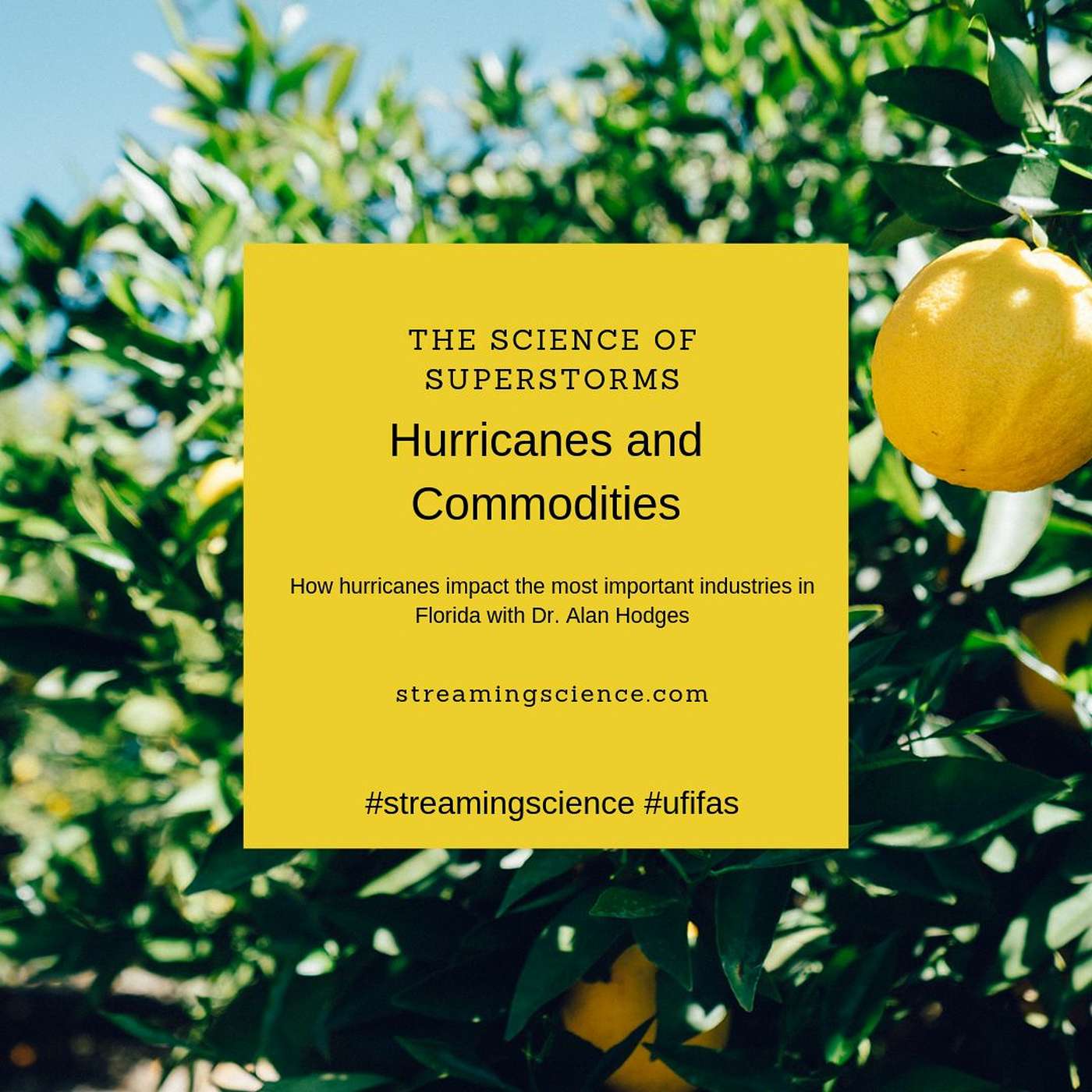 The Science of Superstorms: Hurricanes and Agricultural Commodities: Economic Impacts episode artwork