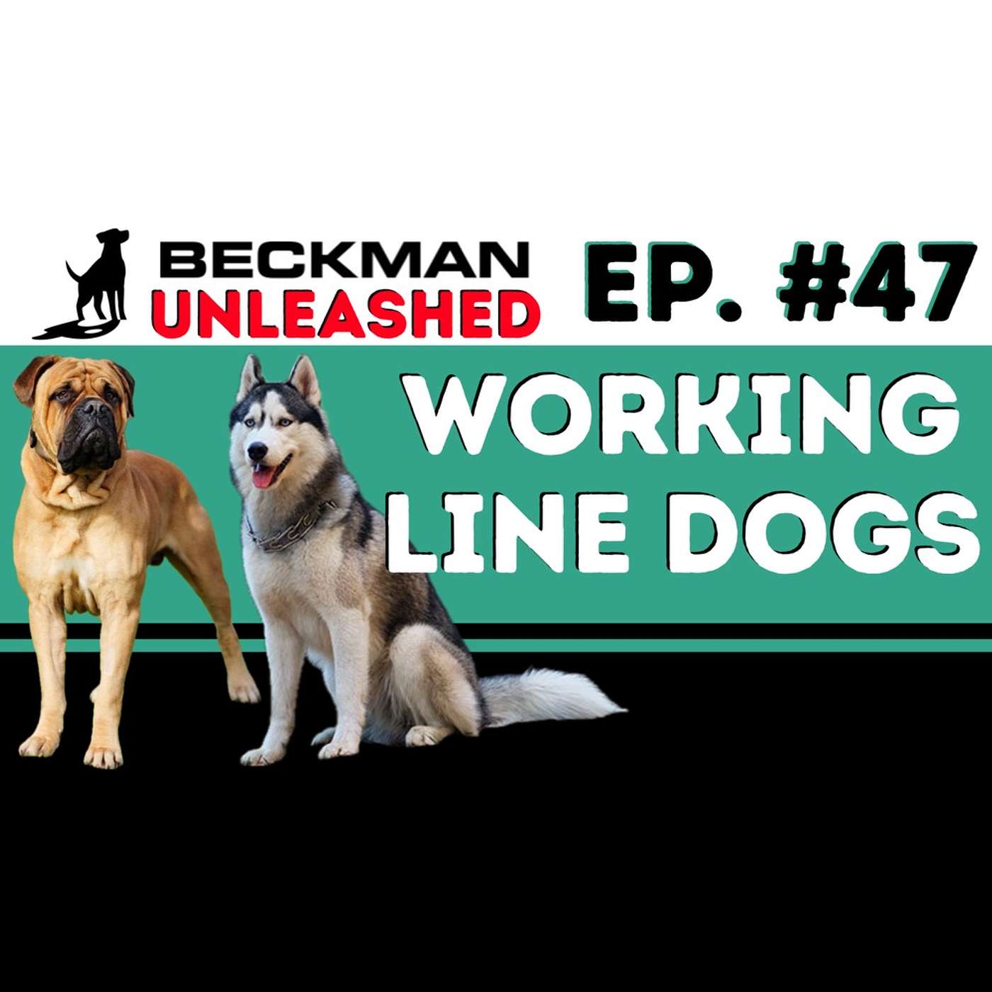 Ep. 47 - How & Why I let Prince Correct Dogs.  What Dog I Think is the Most Bad A**. Hyena vs Presa Canario.