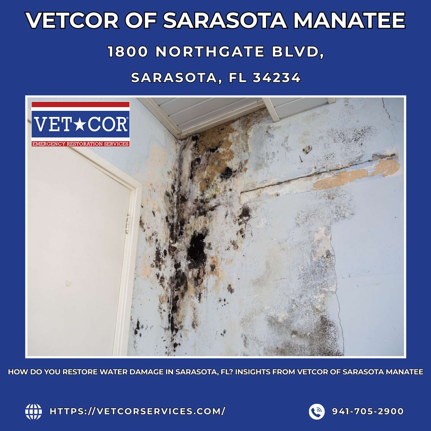 VetCor of Sarasota Manatee