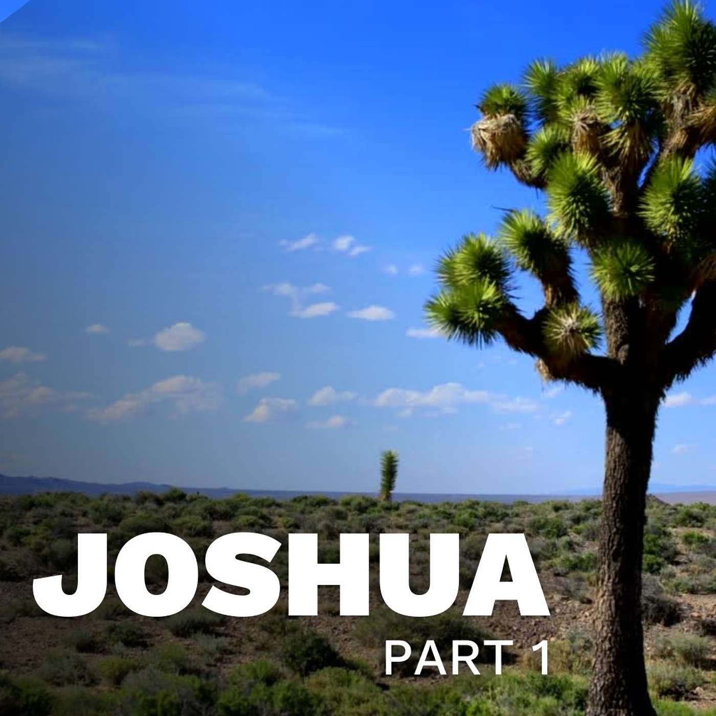 Joshua | Part 1 episode artwork