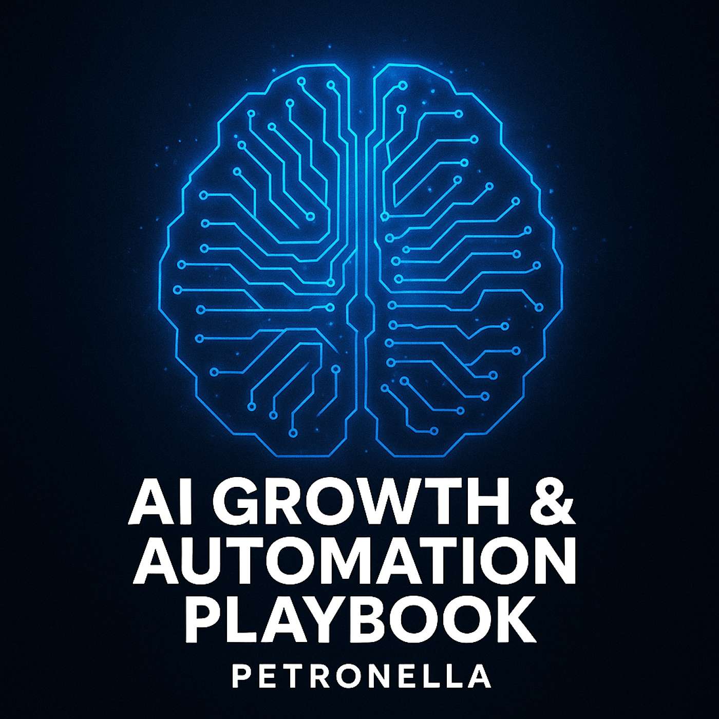 AI Growth & Automation Playbook