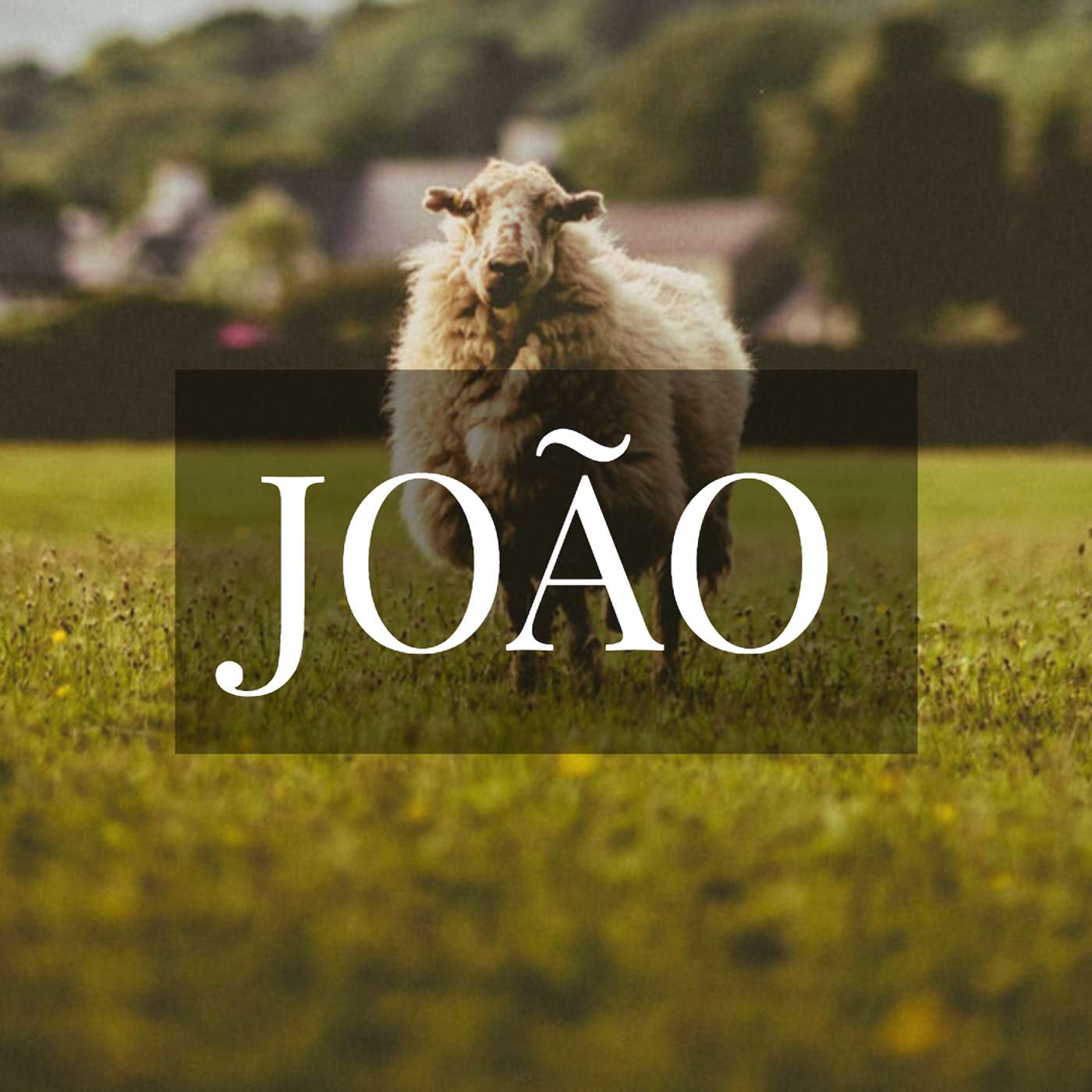 Série João: 08 "Nascer de Novo: A Decisão," 3.16–19 episode artwork