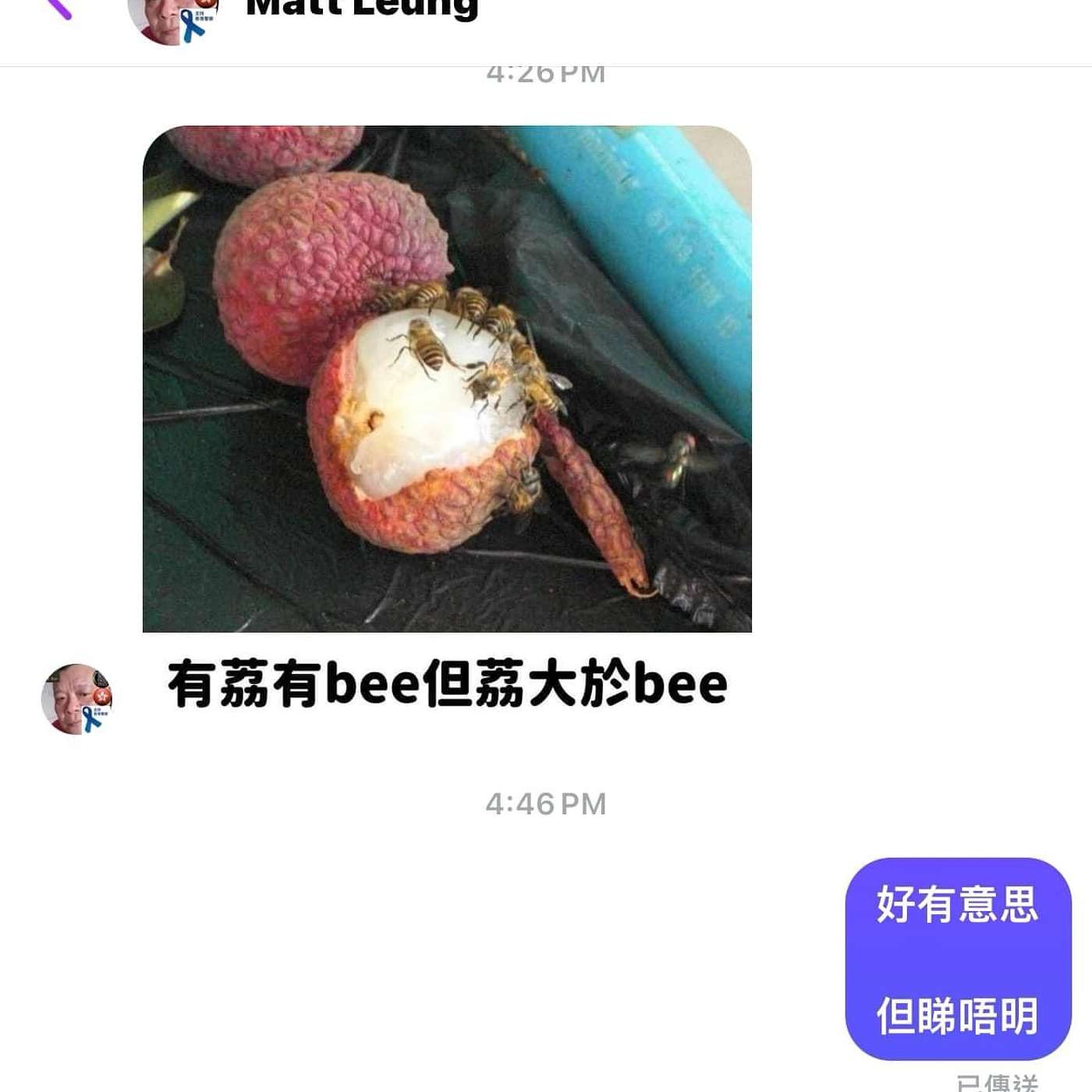 EP29. (有荔有bee) 大話係一種藝術, 識用同亂用係會有完全唔同嘅後果, 如果你蠢就做返個安分老實人。 episode artwork