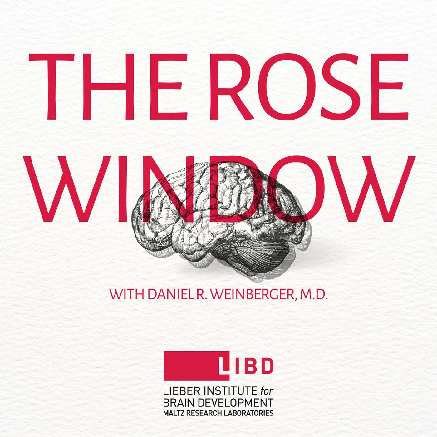 The Rose Window: A Limited Series On Human Connection & Mental Health