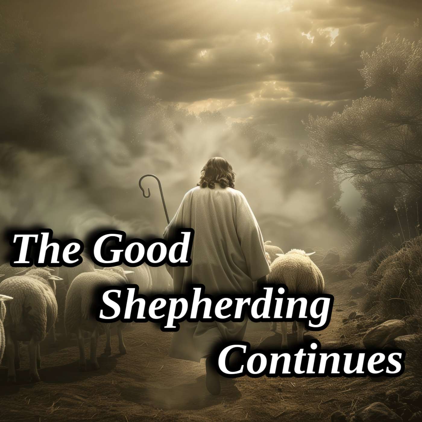 The Good Shepherding Continues